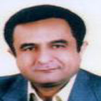 Dr. Hamid Saremi