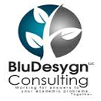 BluDesygn-Consulting, LLC